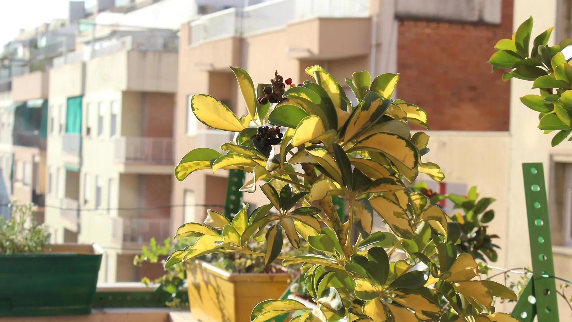 Onefam Sants Pansiyon Barselona İspanya